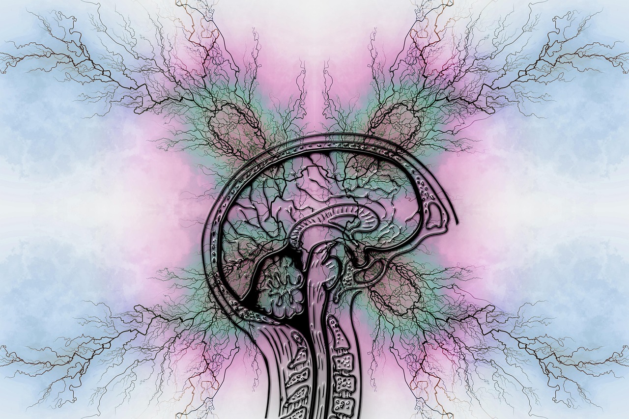 TDAH neurodiversidad TDAH neurodiversidad cómo tratar Sonido Terpeutico - Programa ST Concentración